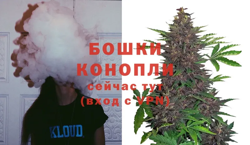 Бошки марихуана SATIVA & INDICA  сколько стоит  Алейск 